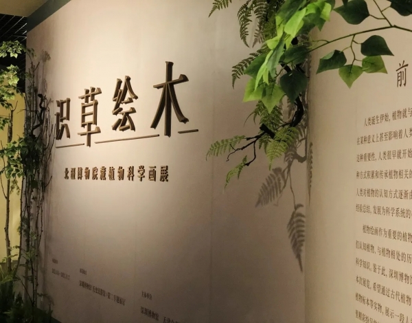 抓住暑假的尾巴，帶孩子感受博物館藝術(shù)的“光合作用”！